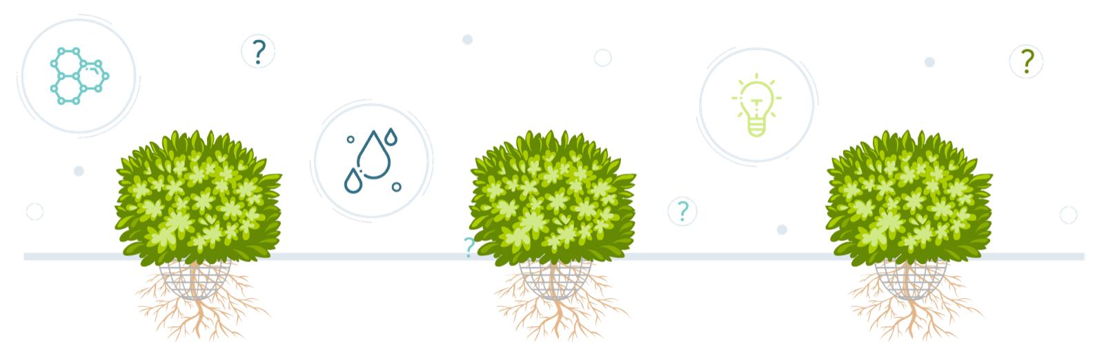 Hydroponics - FAQs