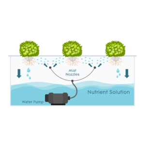 Aeroponics - Enhanced Yields Aeroponics