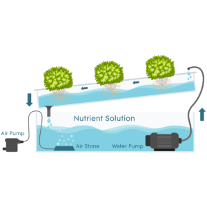 Nutrient Film Technique Nutrient Film Technique
