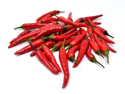 chili pepper in aquaponics chili pepper in aquaponics