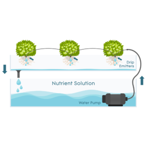 Drip Systems - How They Work Drip hydroponic system