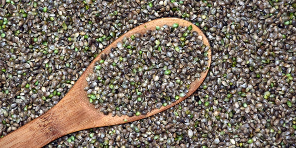 Cannabis seeds Cannabis seeds