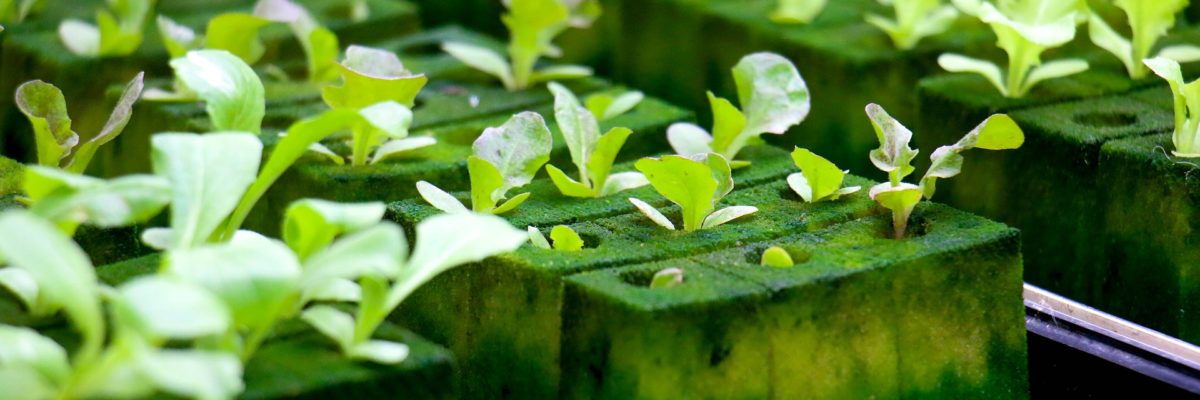 Equipment for Hydroponic Systems Equipment for Hydroponic Systems