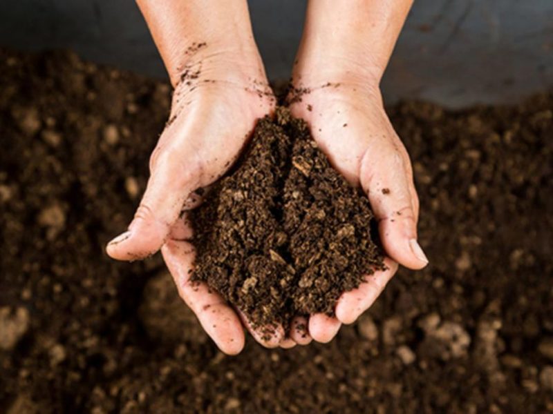 Basics of DIY Nutrient Solution