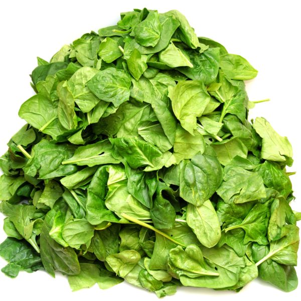 Spinach in hydroponics Spinach in hydroponics