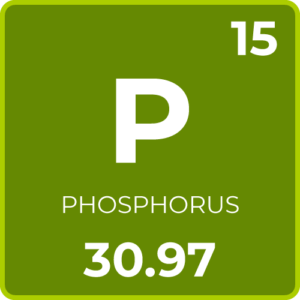 Phosphorus for Plants 15-Phosphorus