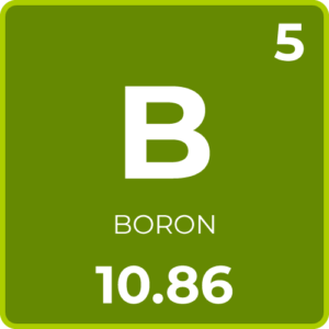 5-Boron