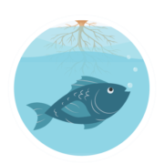 Aquaponics Aquaponics