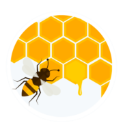 beekeeping beekeeping