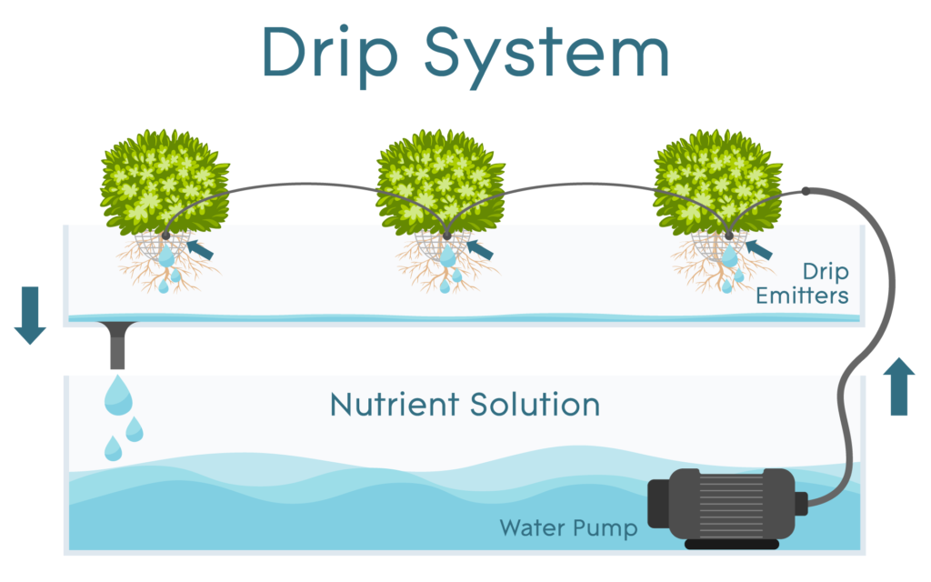 Different Hydroponics Systems and How They Work AGrowTronics IIoT