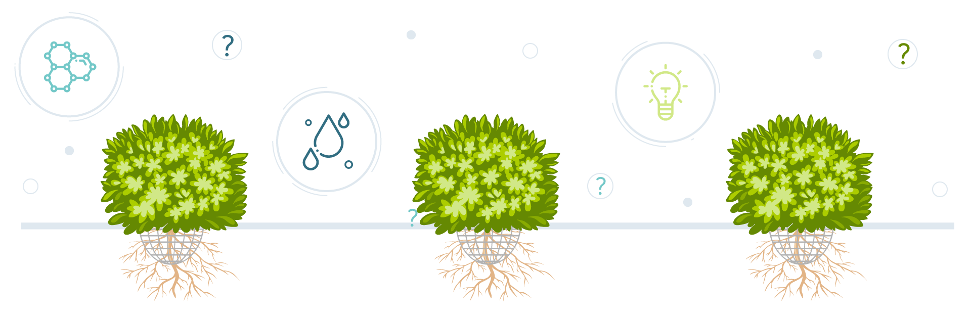 Hydroponics - FAQs