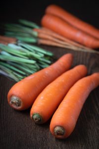 Growing carrots using Hydroponic Systems