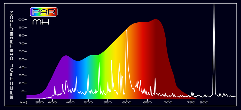 800px-PAR_Metal_Halide_Spectral_Comparison