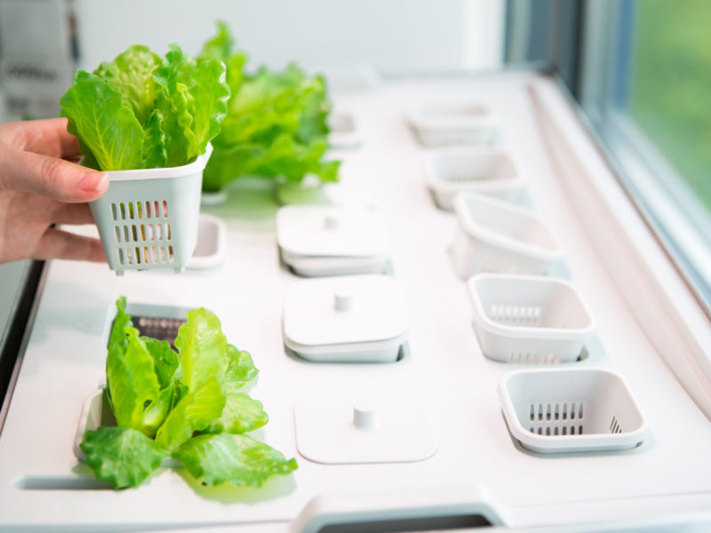 Equipment That Certain Hydroponic Systems Need