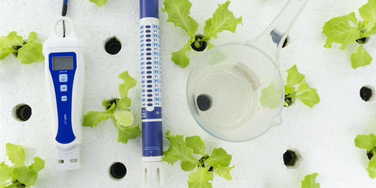 Digital pH meter tester and cup measure on white foam. vegetables salad in greenhouse hydroponics garden, Close up..