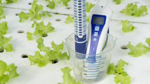 Digital pH meter tester and cup measure on white foam. vegetables salad in greenhouse hydroponics garden, Close up..