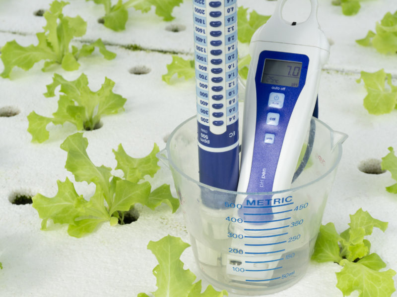 Hydroponic System Maintenance and Monitoring: Quick Guide