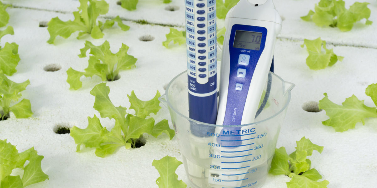 Digital pH meter tester and cup measure on white foam. vegetables salad in greenhouse hydroponics garden, Close up..