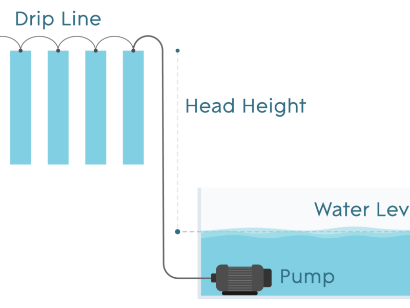 Hydroponic Pumps: What You Need to Know