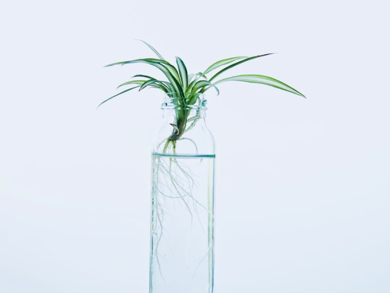 Choosing a size of hydroponic tank – practical advice