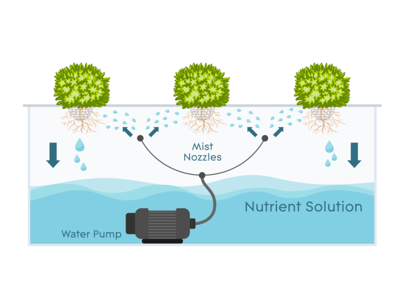 Aeroponics – Enhanced Yields