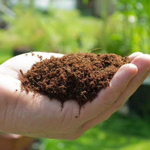 Coco Coir - Hydroponic Growing Medium Coco Coir - Hydroponic Growing Medium