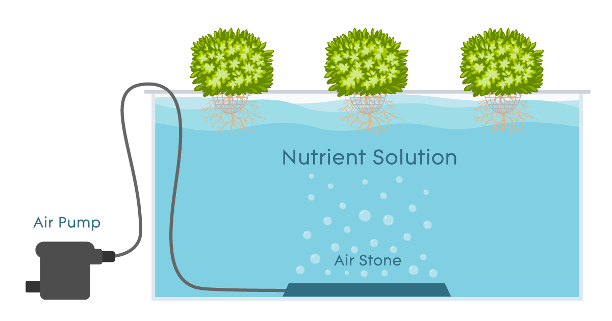 Deep Water Culture AGrowTronics IIoT For Growing