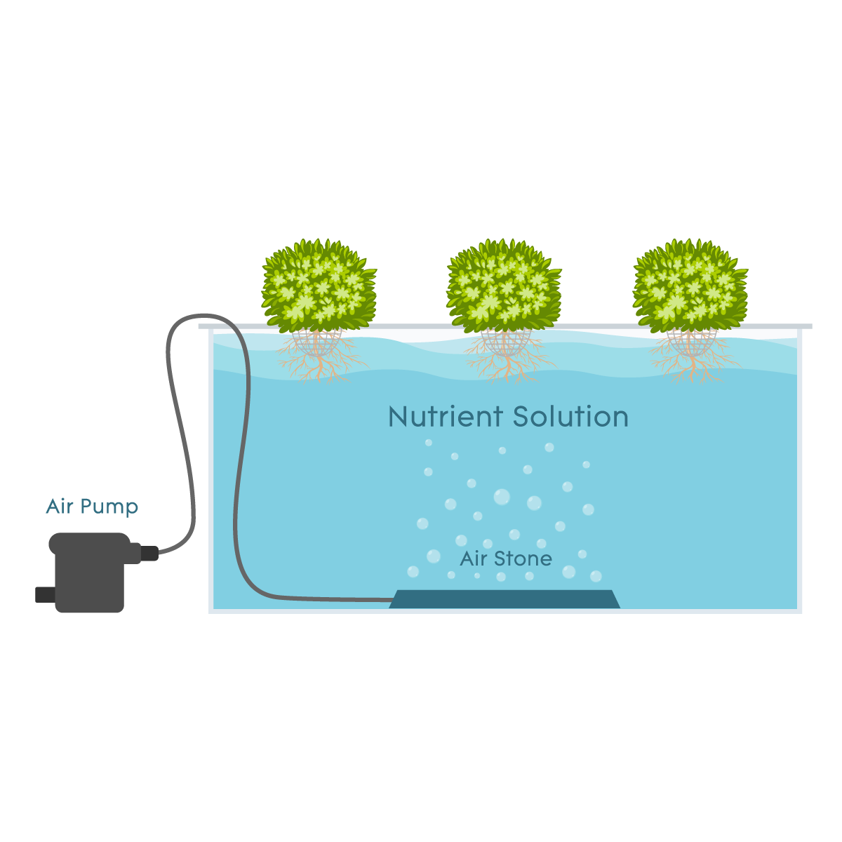 Deep Water Culture AGrowTronics IIoT For Growing