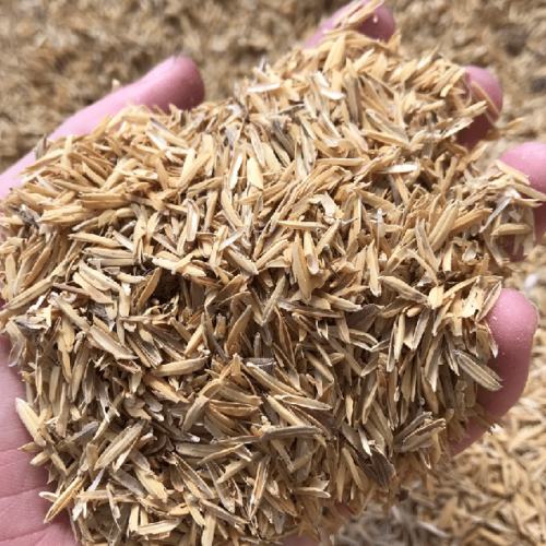 Rice husks - Hydroponic Growing Medium