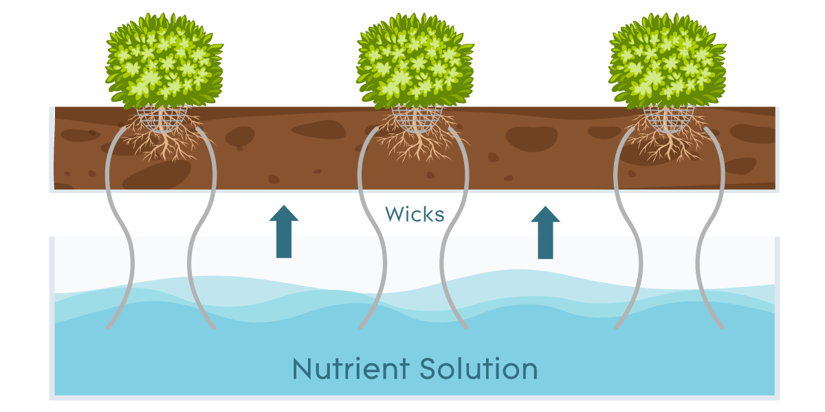 Wick System