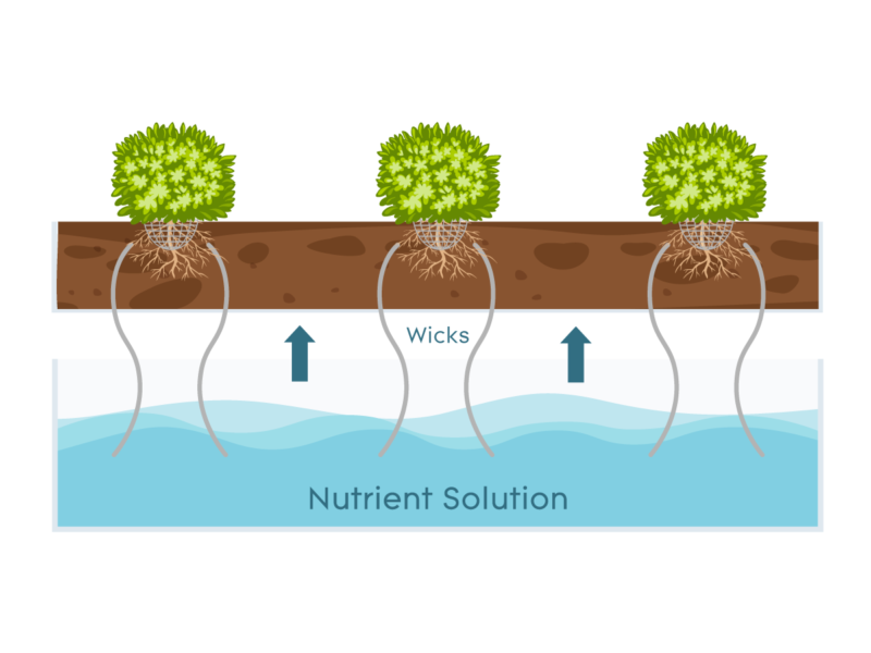 Wick System