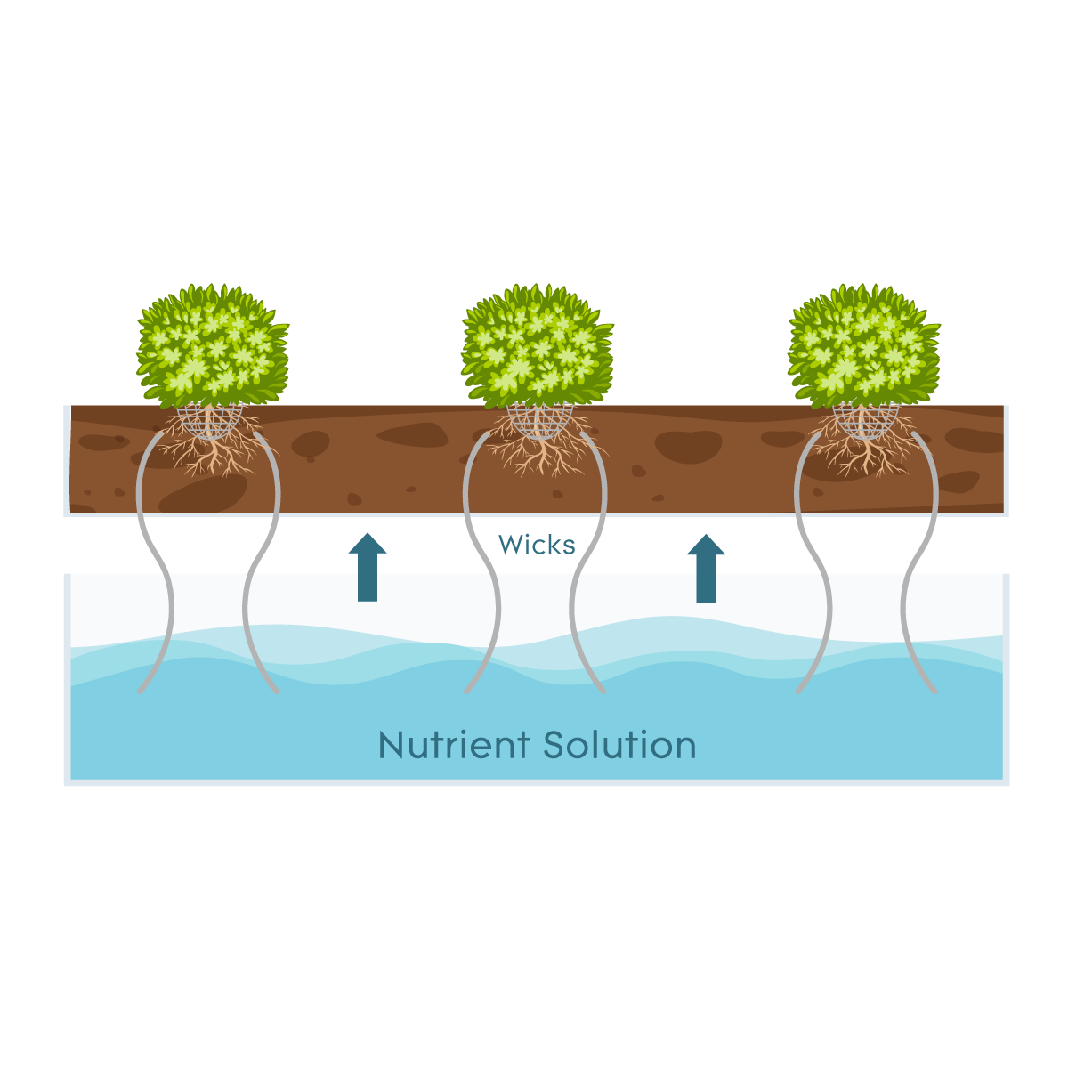 Wick System AGrowTronics IIoT For Growing