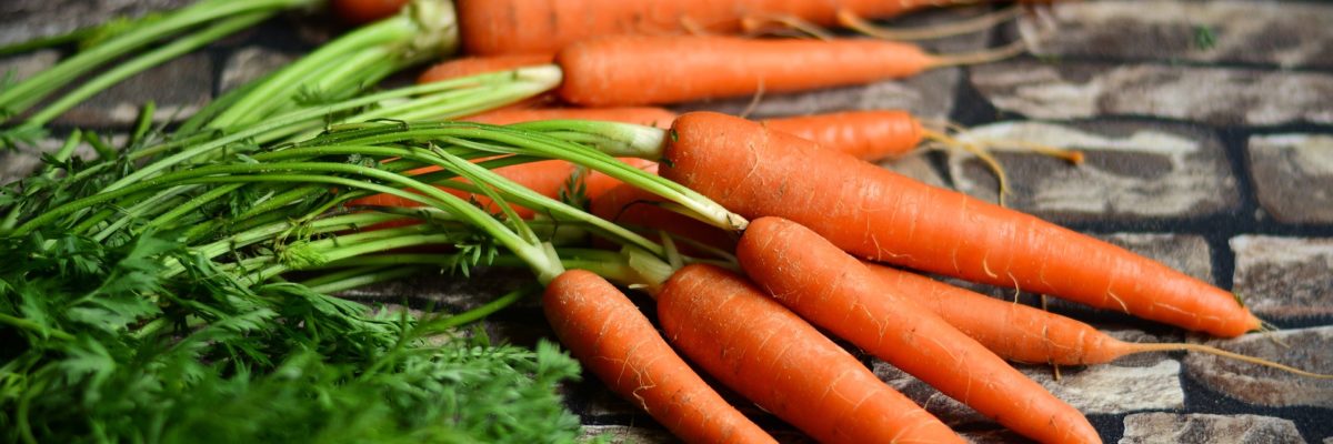 Growing carrots using Hydroponic Systems