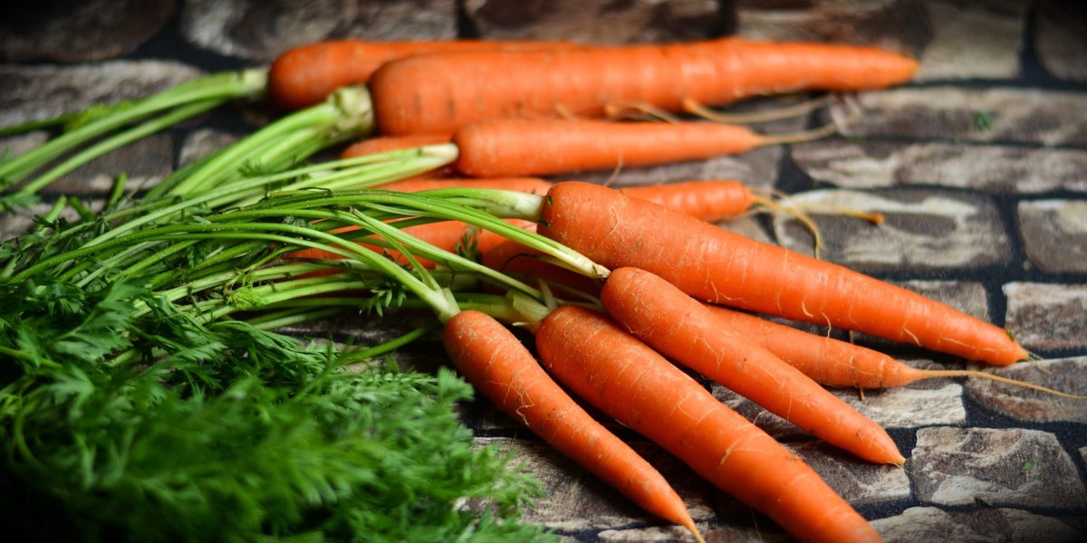 Growing carrots using Hydroponic Systems