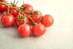 Growing tomatoes in hydroponics