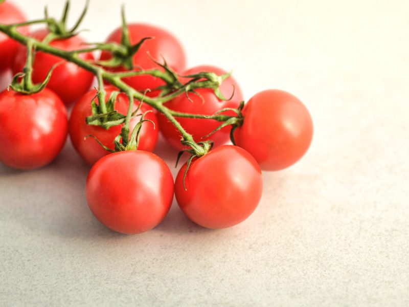 Grow Hydroponic Tomatoes: The Complete Guide