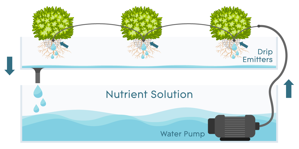 Drip hydroponic system