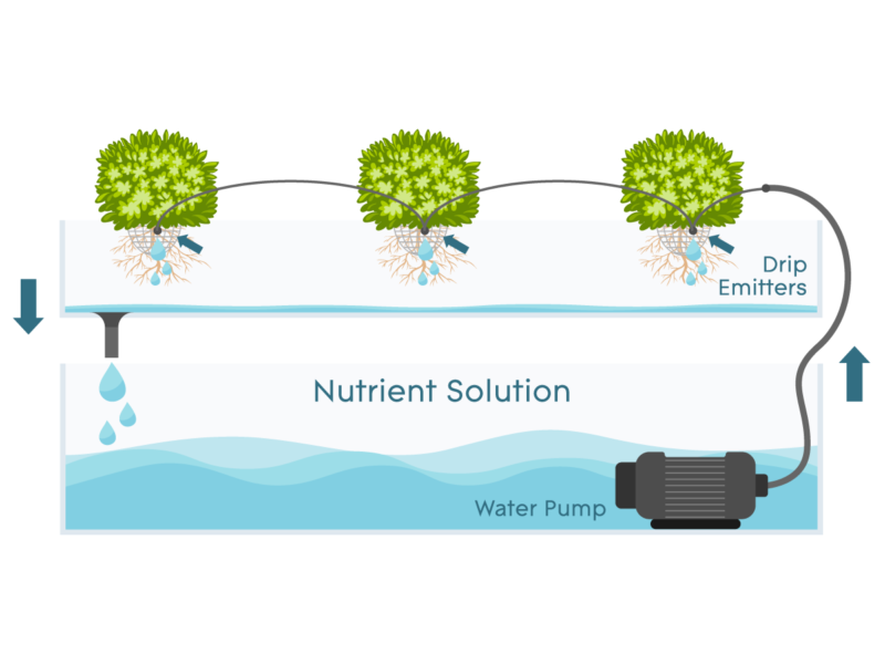 Drip Systems – How They Work