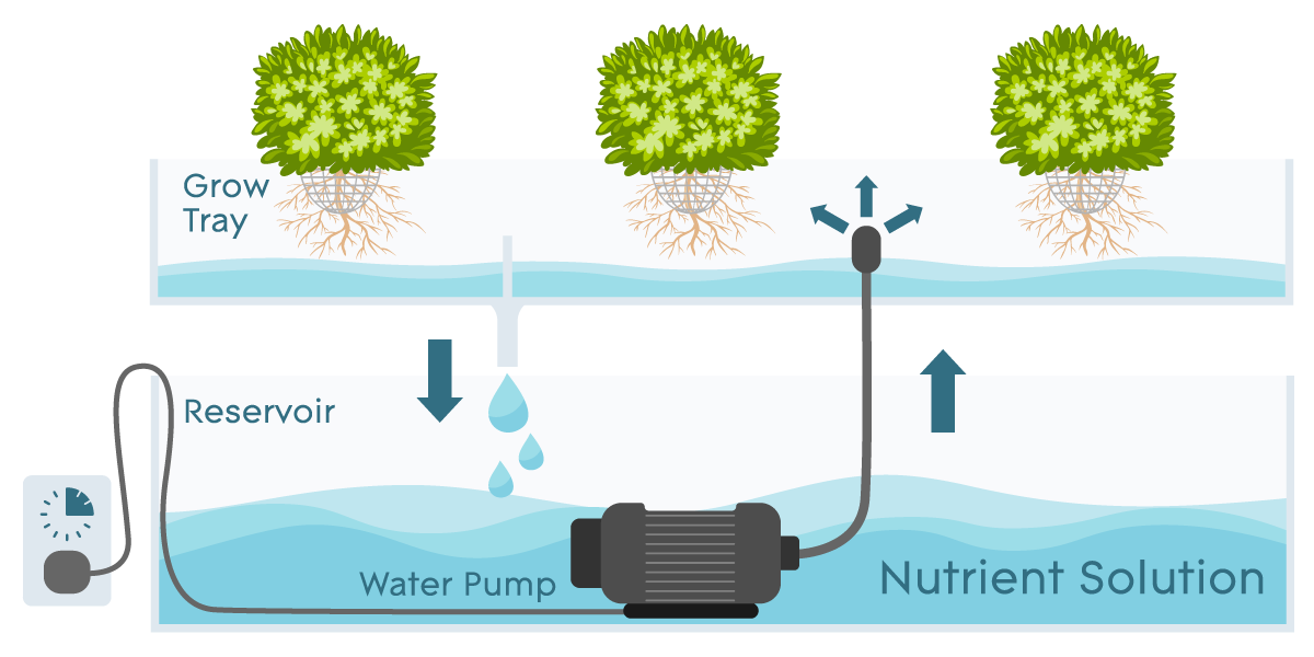 Ebb and Flow systems