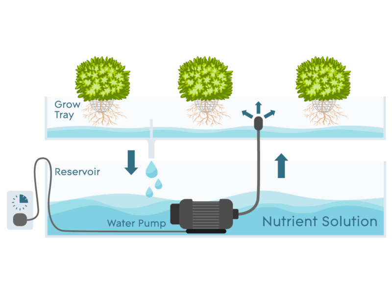 Easy DIY Ebb and Flow System