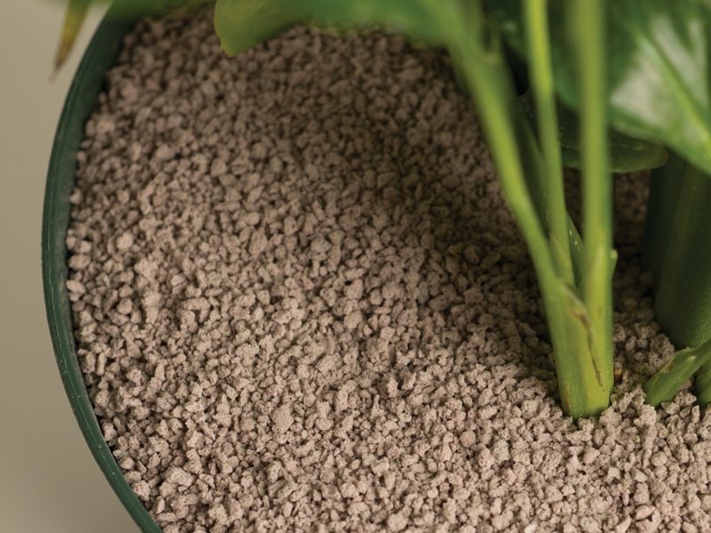 Alternative Growing Medium