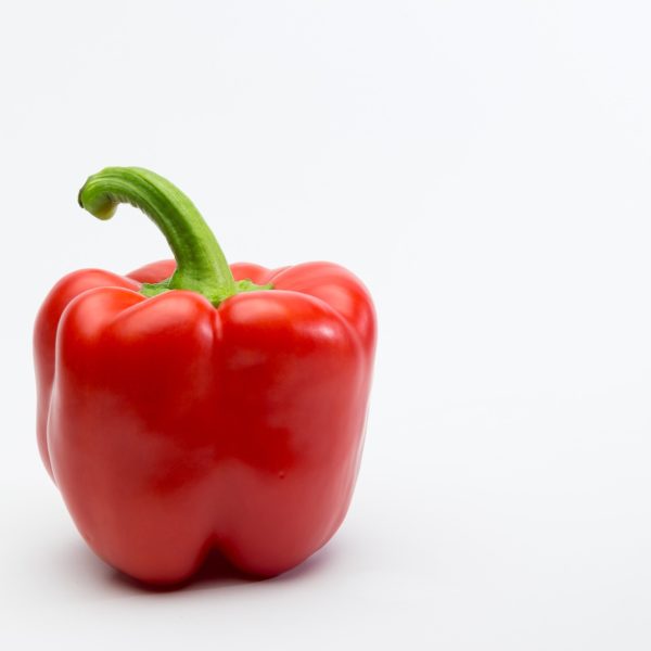 Bell pepper in hydroponics