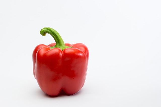 Growing Bell Peppers in Hydroponics