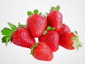 How to Grow Strawberries using Hydroponics