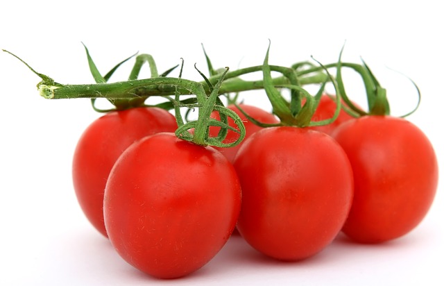 Grow hydroponic tomatoes