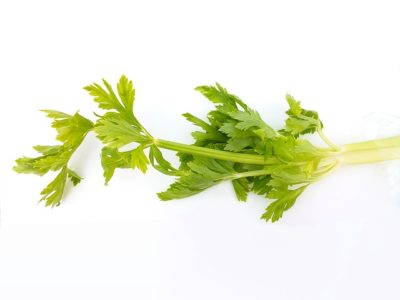 How to Grow Celery Using Hydroponics