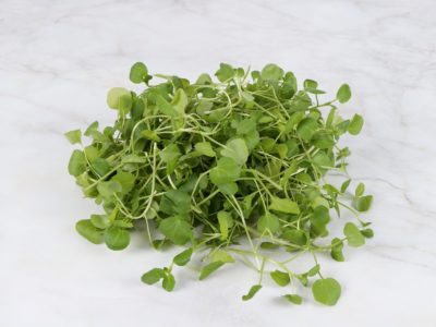 Watercress in hydroponics