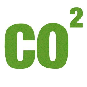 How Much CO₂ Do Plants Need?