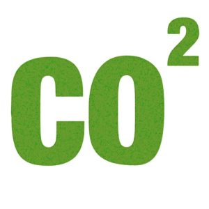 How Much CO₂ Do Plants Need?