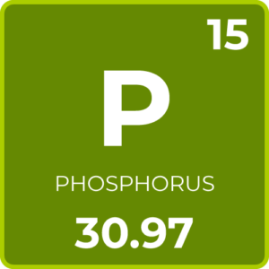 Phosphorus for Plants